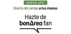 bonarea